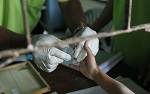Эпидемия малярии снизилась на 47%, Западная Африка
