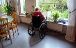 В Швеции проживает наибольшее число долгожителей