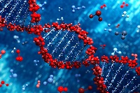 Китай может стать пионером в области корректировки человеческого ДНК