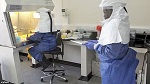 Жители Гвинеи напали на медицинский центр, обвиняя врачей в распространении вируса