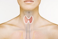 Болезни щитовидки (фото flpnskydli.blogspot.com)
